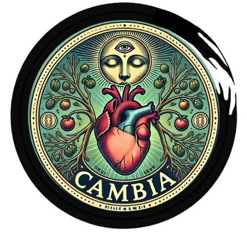 Logo del Proyecto CAMBIA